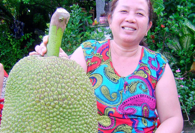 S&oacute;c[-]Trăng:[-]Nhiều[-]người[-]đến[-]xem[-]tr&aacute;i[-]m&iacute;t[-]'khủng'[-]nặng[-]gần[-]25[-]kg,[-]d&agrave;i[-]0,7m